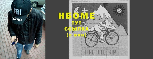 PSILOCYBIN Анива