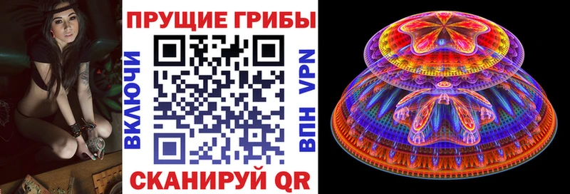 МЕГА ссылки  Светогорск  Галлюциногенные грибы Psilocybine cubensis 